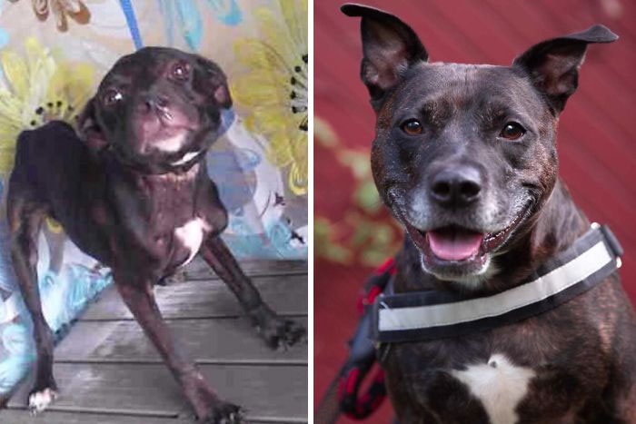 My Sweet Girl, Ivy, 5 Years Ago Versus Now!