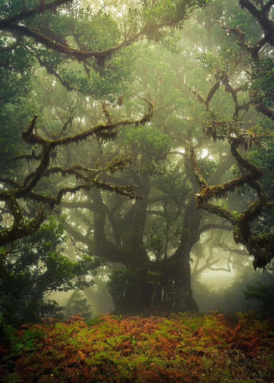 Madeira, Portugal, By Anke Butawitsch