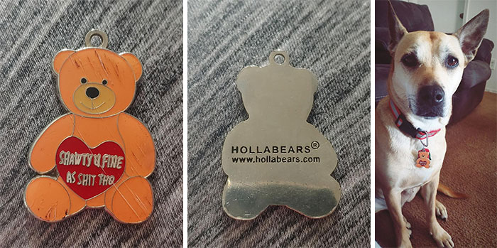 Uploaded A Picture Of My Dog Wearing Her Collar