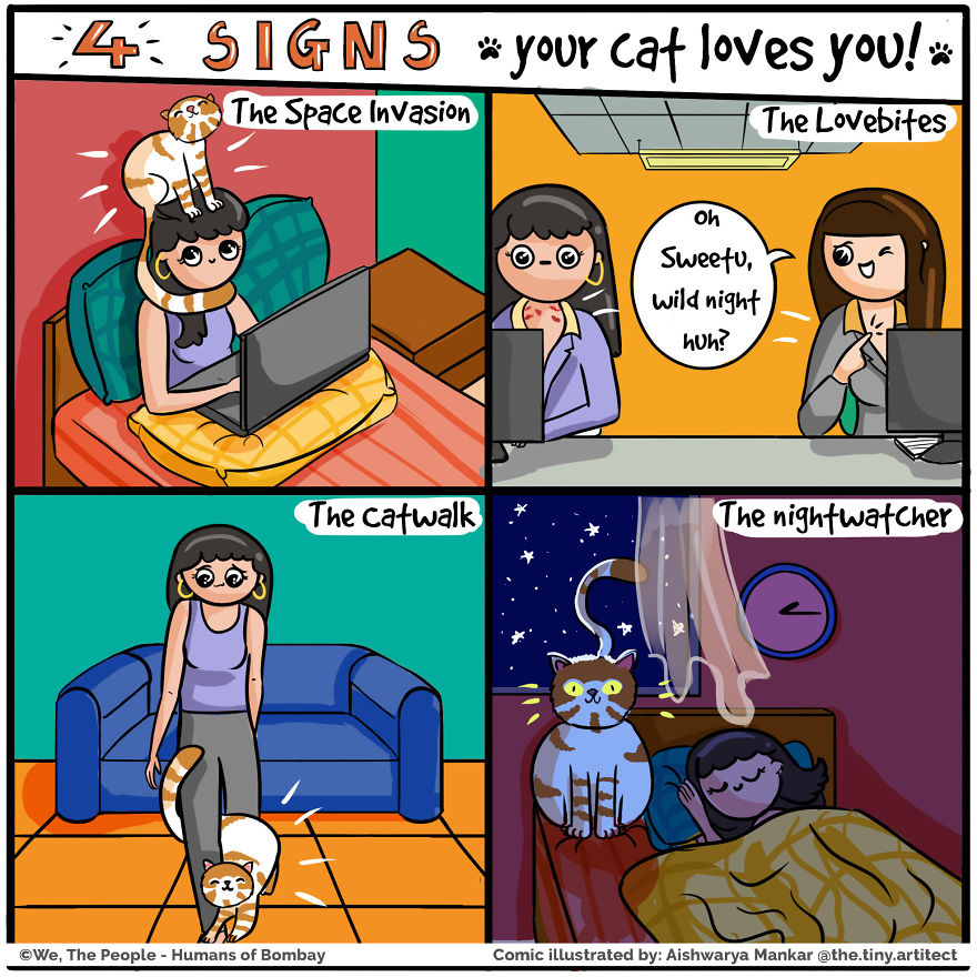 4 Signs Your Cat Loves You