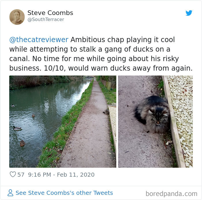 People-Review-Cats-Thecatreviewer