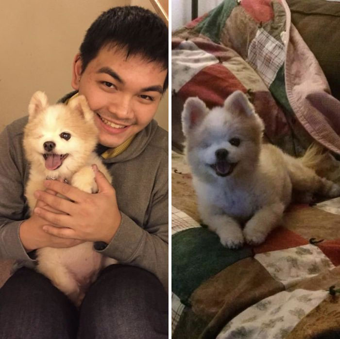 Facebook Reminded Me That I Got Her 2 Years Ago! Here’s A Before And After Adoption Picture Of Her. Nothing Was Wrong; I Just Really Want To Show You All How Cute She Is!