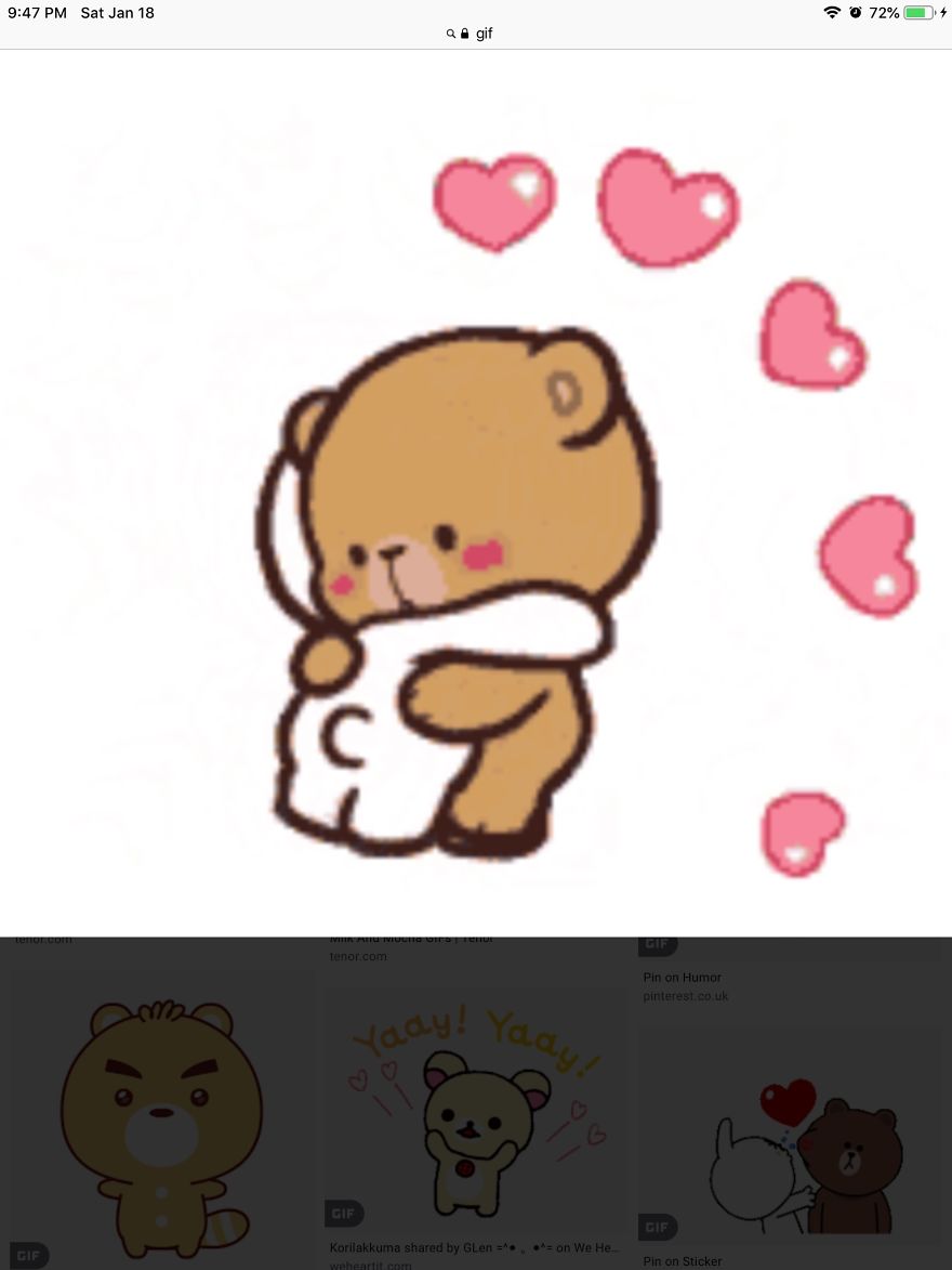 These Cute Bears Look Like Me With My Bestie