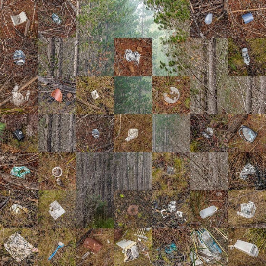 Tasmania, Australia By Matt Palmer