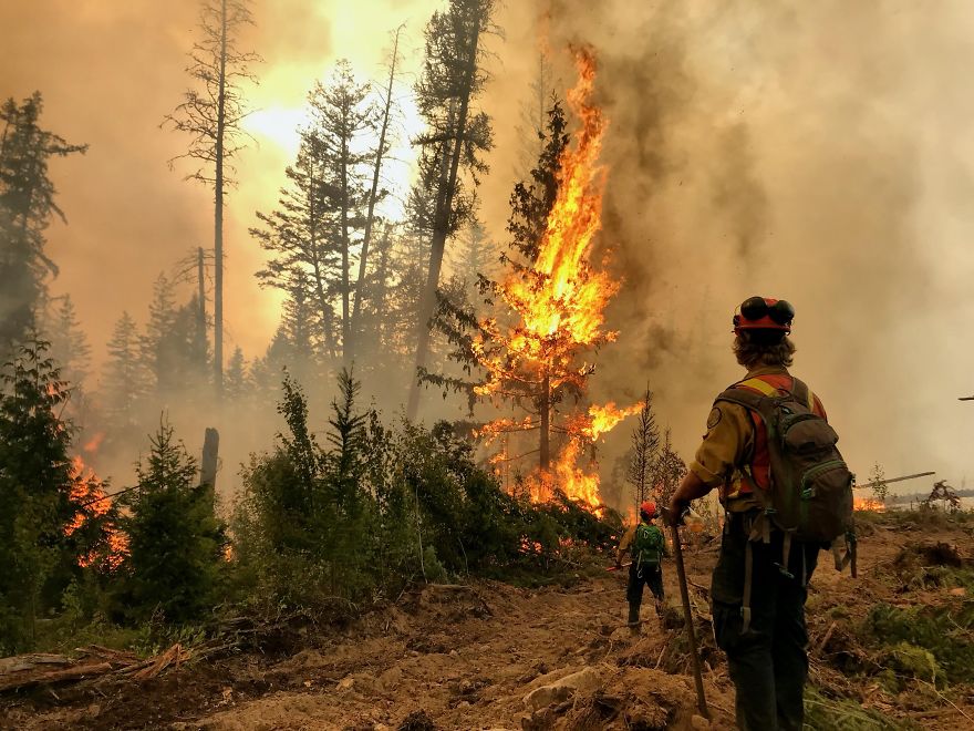Two Firefighters Stopping As A Tree Candles In Front Of Them While On A Patrol