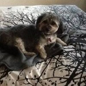 pauline_kelly avatar