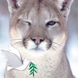 michael_leake avatar