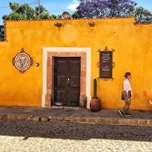 aliceagustafson1 avatar