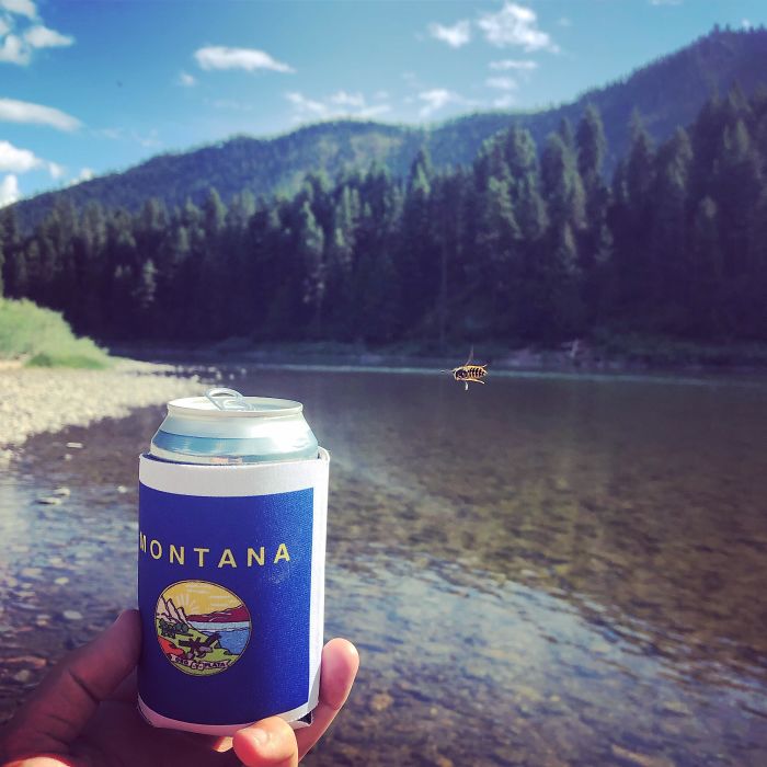 This Bee Photobombed My Picture And Ended Up In Perfect Focus