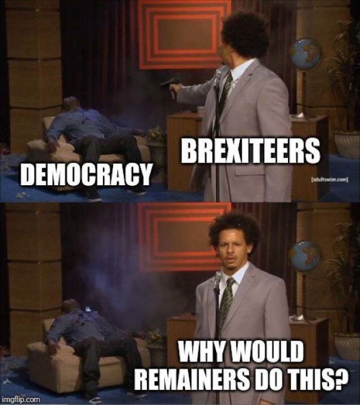 Brexit Meme