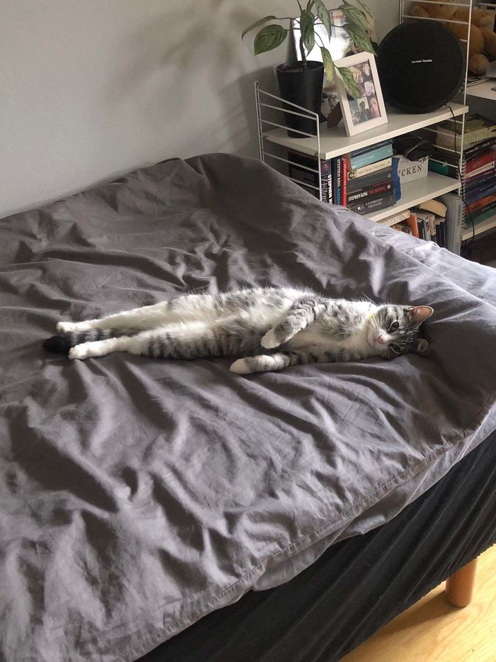 She’s Tiny But Loooong