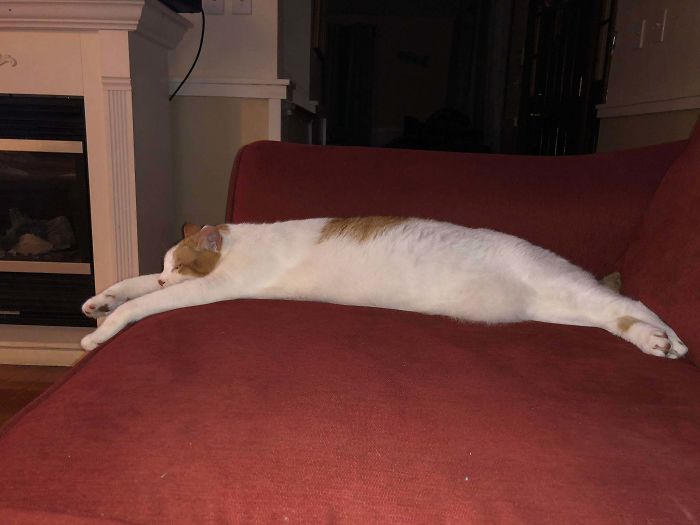 My Long Boi