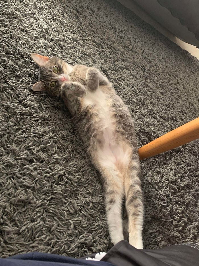 Long Girl Is Long