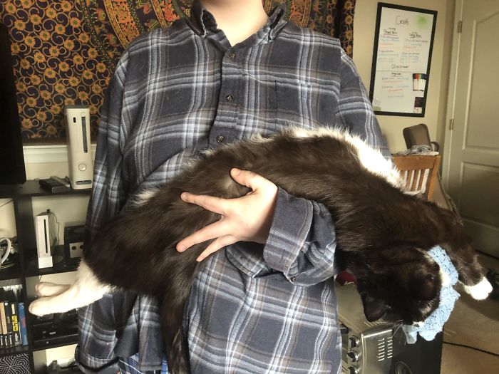 Trying To Clean Up My Mess