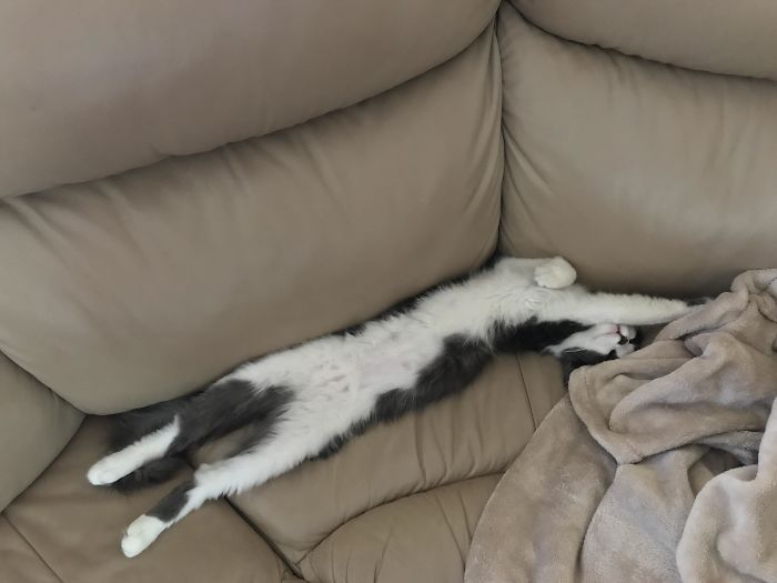 A Nice River Flowing On My Couch