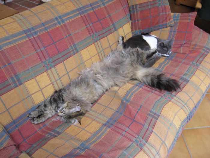 Stretching To Infinity And Beyond