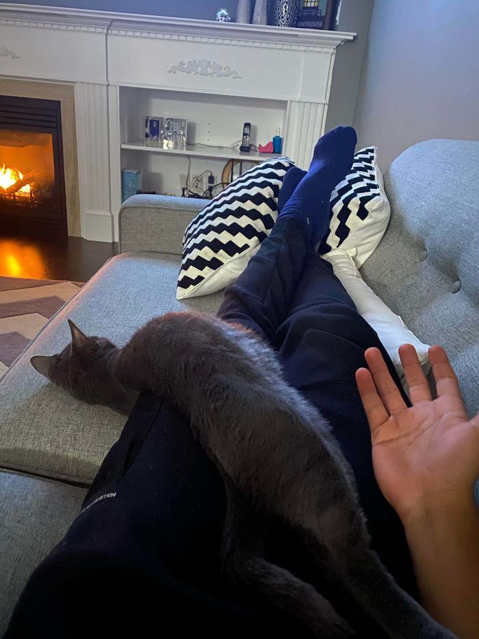 I Spilt My Cat All Over Myself While Watching TV