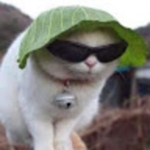 daniellewis_1 avatar