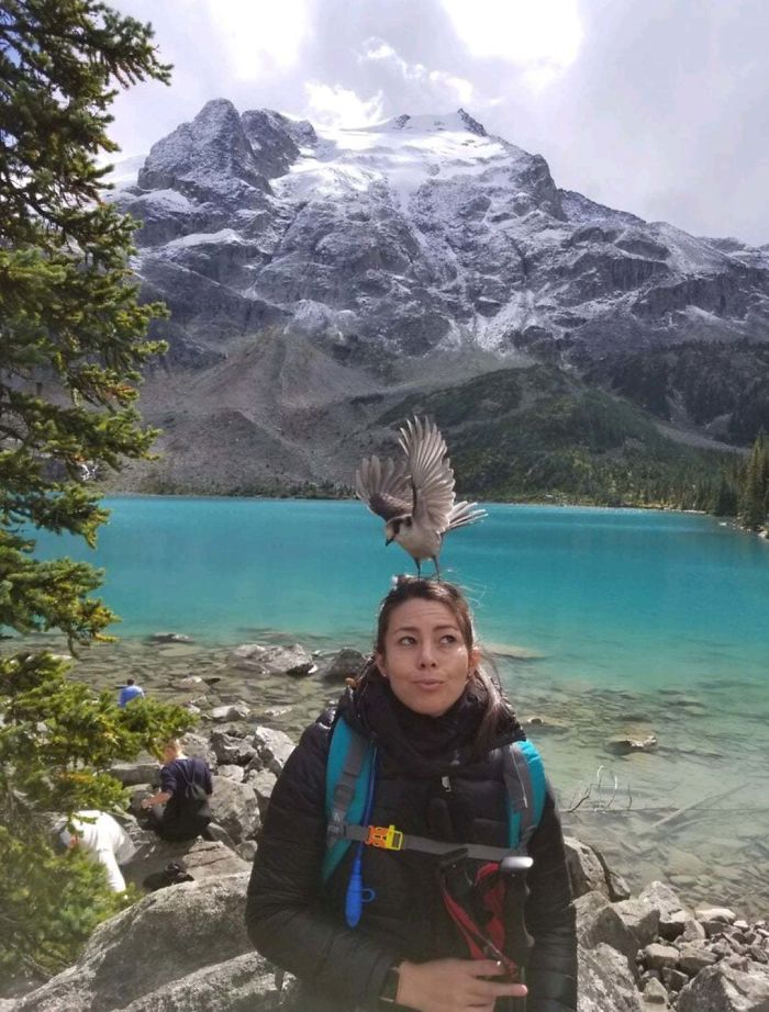 Wife Got Photodivebombed