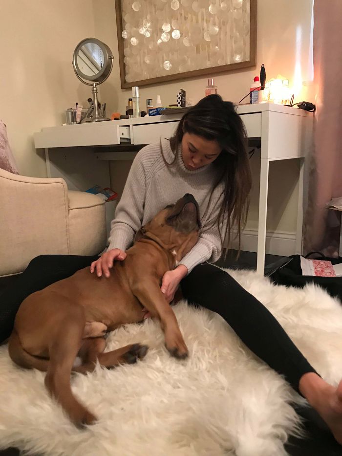 Recently Adopted Moose Mirin His New Mommy