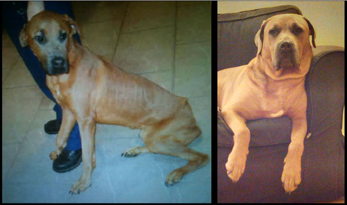 My Friend Taco Before And After