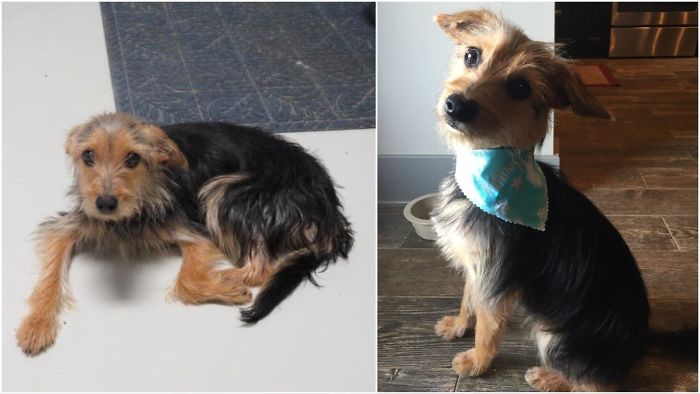 It’s Amazing How Much Of A Difference A Little Love Can Make