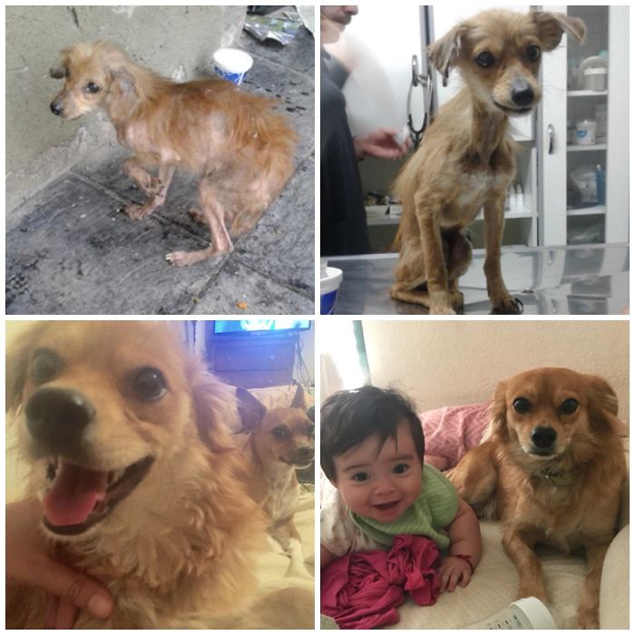 Timmy, From Pauper To Prince