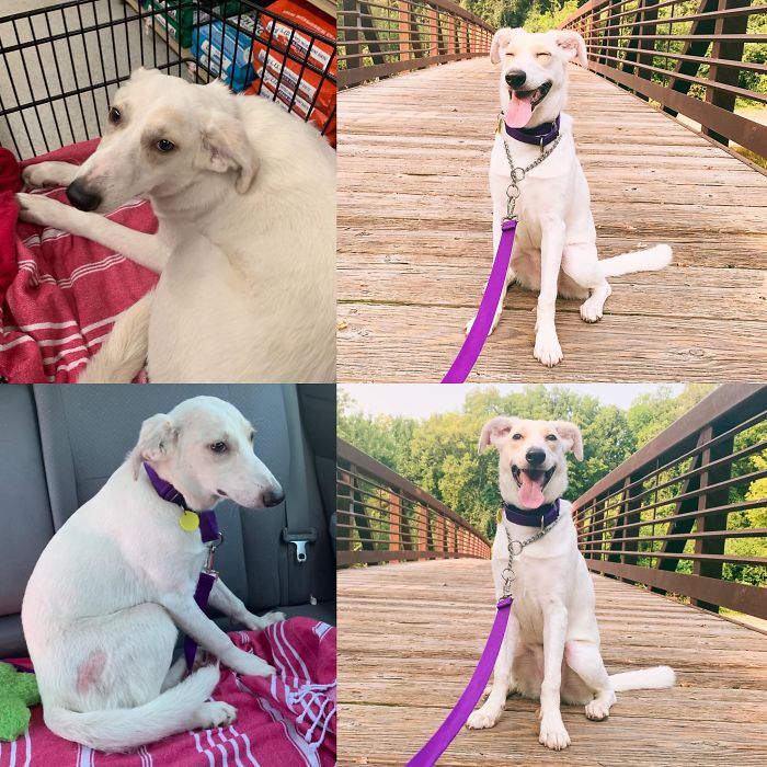 We’ve Only Had Ellie For Just Under 3 Weeks - So Excited To See How Much She Is Going To Grow