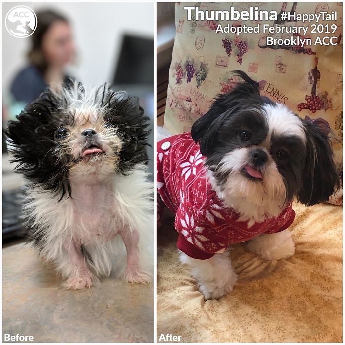 It's Amazing What Tlc And Time Are Capable Of 