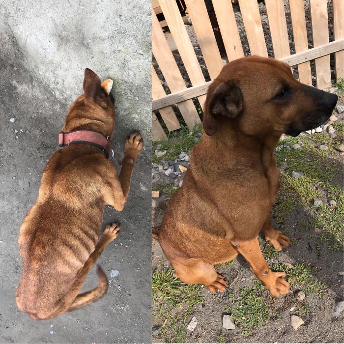 My Dad's New Friend Just Two Months Apart. She's So Happy All The Time It Warms My Heart 