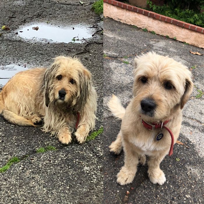 3 Years Ago vs. This Morning