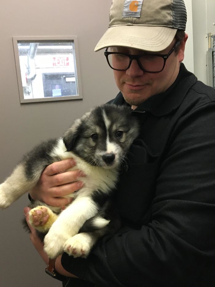 My New Best Friend In The Whole Wide World I Adopted From The Local Shelter.