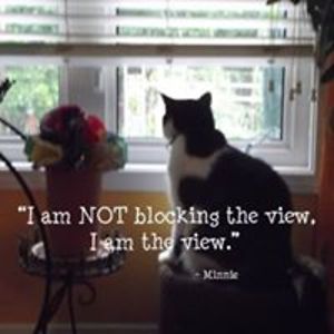 denise_baudin avatar