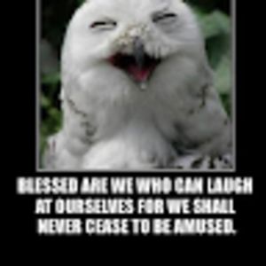 janeqpublique_1 avatar