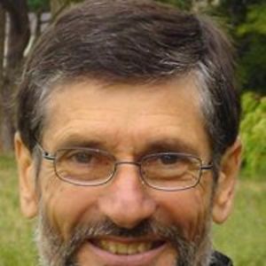 marcobracci49 avatar