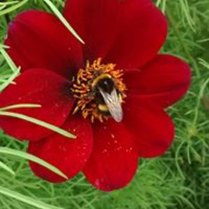 coryn_m_bye62 avatar