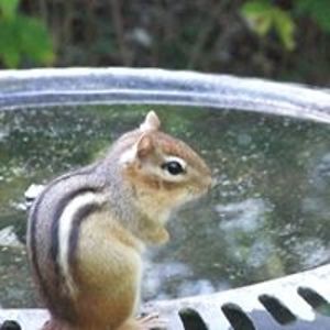 maryjane_stockton avatar