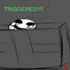 taylorfazbear avatar