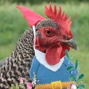 doddsmountain avatar