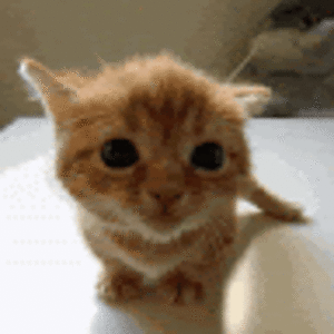 hunterphillipsword avatar