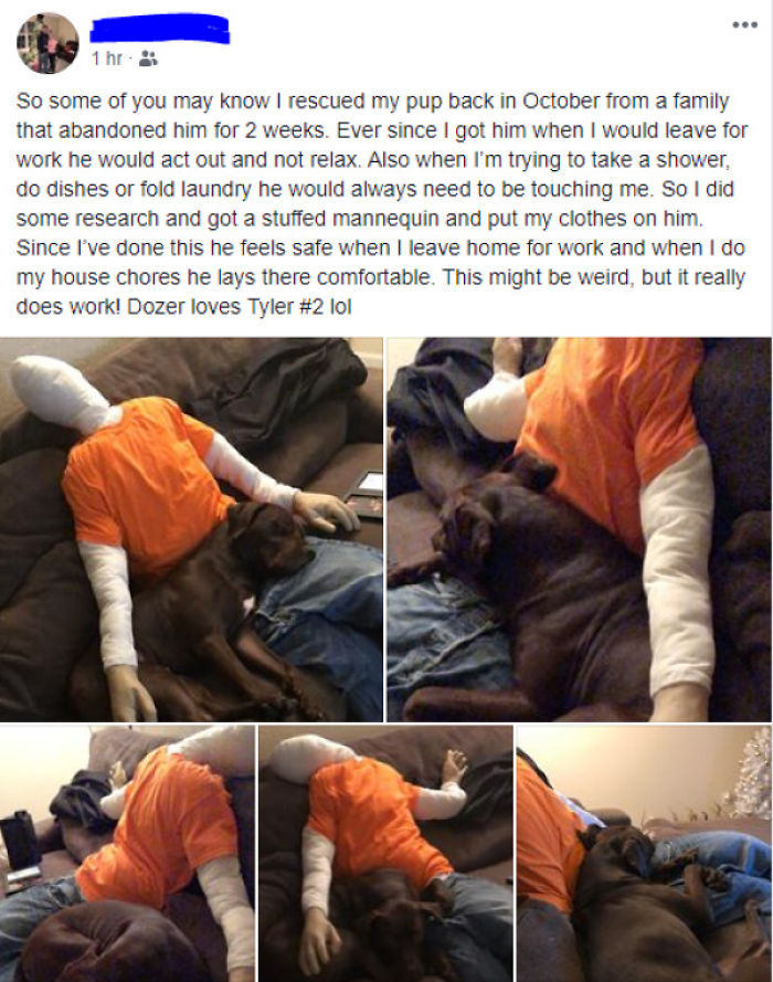 Anxious Good Boi Finds Relief 