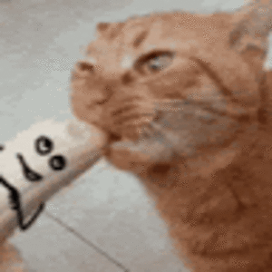 kendalllepchenske avatar