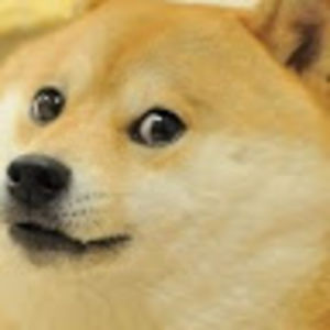 jaysemiyagawa avatar