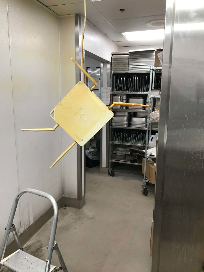 Was Cleaning The Ceiling Panels At My Work When This Guy Suddenly Ambushed Me