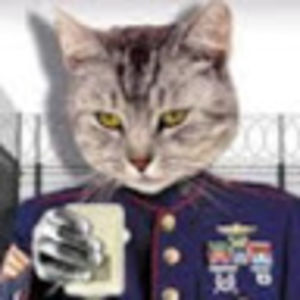 sgt_cat avatar