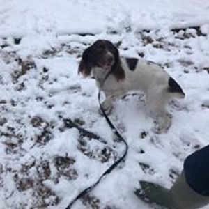 karen_schindler avatar