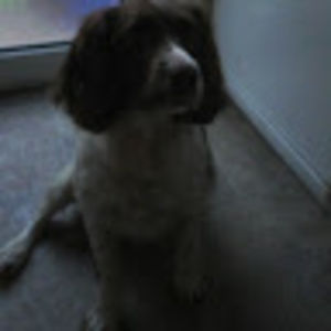 georgiahill_1 avatar