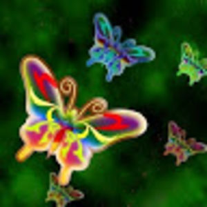 nicolabarrett avatar