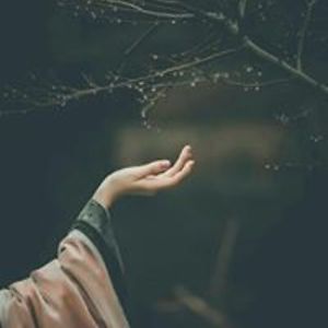 minahel24haider avatar