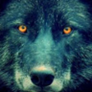 amberbarringer avatar